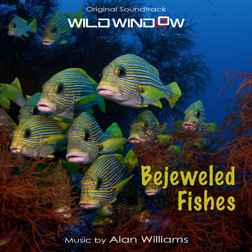 Bejeweled Fishes
